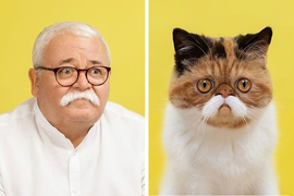 Sửng sốt ngắm loạt chân dung giống nhau kỳ lạ giữa chủ và thú cưng