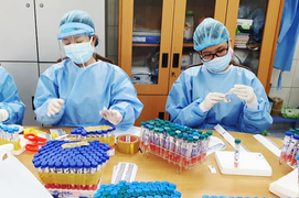 Đà Nẵng: 11 người liên quan đến bệnh nhân COVID-19 tại TP.HCM