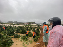 2 du khách mất tích khi đi qua cầu treo: Thông tin mới nhất