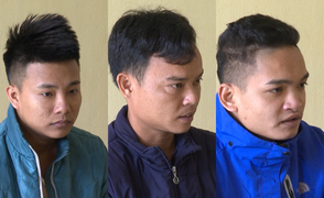 Dán keo 502 biến lan thường thành lan đột biến, lừa hơn 1 tỷ đồng