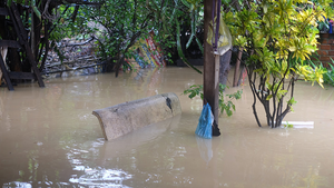 Mưa lũ ở Khánh Hòa: 4 người chết, 1 người mất tích