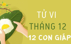Tử vi tháng 12 của 12 con giáp: Tuổi Thìn thu nhập tăng vượt trội