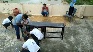 Video: Võ sư Ấn Độ phá kỷ lục Guinness, dùng đầu mở 68 nắp chai trong 1 phút