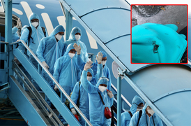 Tiếp viên Vietnam Airlines nguy cơ ‘mất an toàn’ khi mặc đồng phục ra đường