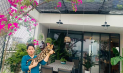 Thú vui tao nhã của Trọng Tấn trong ngôi nhà hơn 100m2