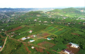 Xẻ đồi phân lô tràn lan ở Lâm Đồng: Hệ luỵ địa phương và khách hàng phải 'gánh'