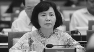 Vì sao đến giờ mới khai trừ Đảng cựu Thứ trưởng Hồ Thị Kim Thoa?