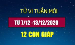 Tử vi tuần mới 12 con giáp 7/12 -13/12/2020: Tuổi Tý liên tục đón vận may