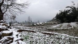 Vùng núi Bắc Bộ rét dưới 6 độ C, khả năng xảy ra băng giá, sương muối