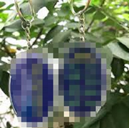 Thu giữ hàng loạt móc chìa khóa dùng tuyên truyền trái phép Pháp luân công