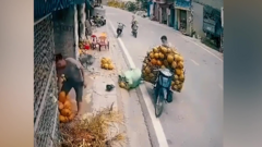 Thả tay khi lái xe, cô gái ngã ngửa vì đâm vào xe dừa
