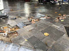 Đá lát vỉa hè xuống cấp: Sở Xây dựng Hà Nội nói gì?