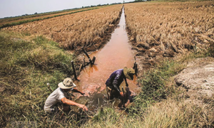 Công bố quy chế chấm giải thưởng cuộc thi 'Hành động vì Mekong'