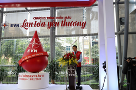 Tuần lễ Hồng 2020: Ngày hội của những yêu thương