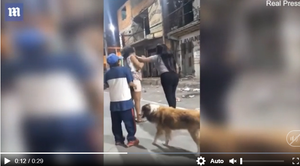 Dân mạng chết cười xem clip 2 cô gái ẩu đả, chó hoang lao vào 'góp vui'