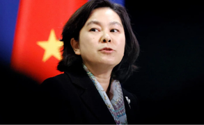 Trung Quốc so sánh các nhà ngoại giao 'chiến lang' như sư tử Simba