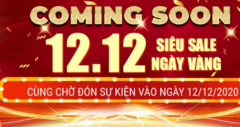 Ngày hội mua sắm 12/12: Ứng dụng quả tải, nhiều sản phẩm cháy hàng