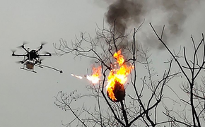 Video: Trung Quốc dùng máy bay không người lái thiêu tổ ong bắp cày