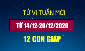 Tử vi tuần mới 14/12-20/12/2020 12 con giáp: Tuổi Hợi dễ trúng số độc đắc