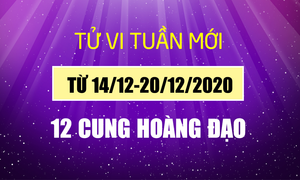 Tử vi tuần 14/12-20/12/2020 12 cung hoàng đạo: Kim Ngưu đạt thành tựu lớn