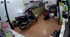 Clip: Chó trêu đùa làm đổ nồi cơm của chủ
