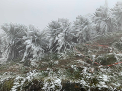 Nhiệt độ Mẫu Sơn xuống 3,2 độ C trong ngày đầu đón rét đậm, rét hại