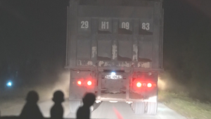 Video: Xe quá khổ, quá tải cày nát đê Hữu Hồng chuyển sang lộng hành vào ban đêm