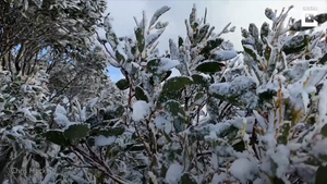 Video: Tuyết rơi bất thường vào tháng mùa hè nóng nhất ở Australia