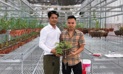 Nam Marboro: Người nuôi đam mê với hoa lan rừng