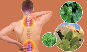 Tổng quan các bài thuốc dân gian chữa bệnh thoái hoá cột sống 