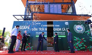 Viện Khoa học kỹ thuật Nông lâm nghiệp Tây Nguyên xây công trình trái phép