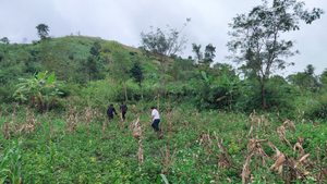 Khẩn cấp di dời nhiều hộ dân nơi có nguy cơ sạt lở ở Đắk Lắk