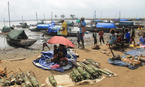 Đảo quốc Papua New Guinea hợp tác với Trung Quốc dù biết trước hậu quả