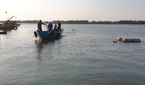 Tìm thấy thi thể hai anh em mất tích sau vụ lật thuyền thúng trên sông Thu Bồn