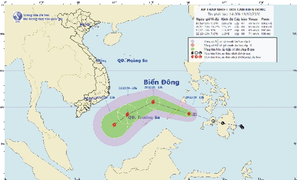 Ngày mai 20/12, áp thấp nhiệt đới vào Biển Đông, có thể mạnh lên thành bão