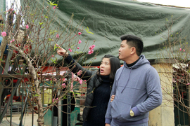 Đào Nhật Tân xuống phố đón Tết Dương lịch 2021