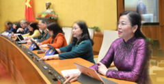 Infographic: Những luật có tác động lớn được Quốc hội thông qua trong năm 2020