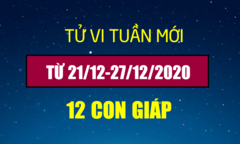 Tử vi vui tuần 21/12-27/12/2020 của 12 con giáp: Sửu gặp 'bão tố' về tình cảm