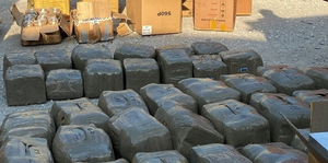 665kg cần sa giấu trong vách container ở Hải Phòng