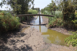Cuộc thi 'Hành động vì Mekong' tập trung vào những lĩnh vực nào?