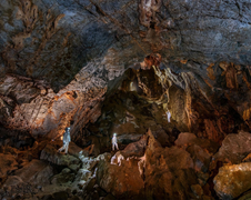 10 phát hiện khoa học ấn tượng nhất năm 2020