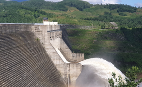 Quảng Nam 'ngốn' 1.500 hecta đất rừng để xây dựng 46 thủy điện