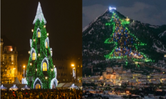Ngắm những cây thông Noel độc đáo, tuyệt đẹp trên khắp thế giới