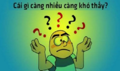 Đố mẹo: Cái gì càng nhiều càng khó thấy?