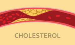 Thực phẩm giúp kiểm soát lượng cholesterol 