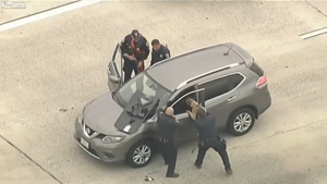 Video: Nghẹt thở xem cảnh khuyển tung đòn bắt trộm xe hơi
