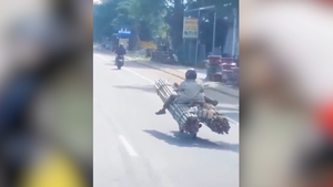 Video: Người đàn ông chở tầm vông tư thế 'lạ'