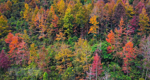 Khung cảnh mùa Đông đẹp mê hồn nơi biên cương Cao Bằng