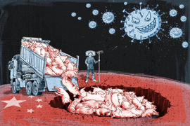 3/4 bệnh ở người có nguồn gốc từ động vật, bác sĩ thú y sẽ cứu thế giới?