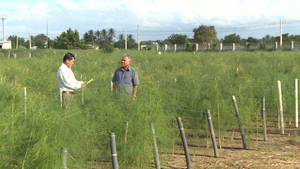 Ninh Thuận phát huy các lợi thế để phát triển kinh tế